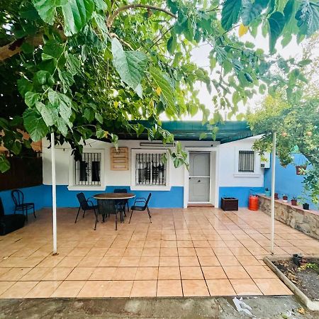 Estudio Adosado Acogedor Con Jardin, Barbacoa Y Parking Privado Alicante Bagian luar foto