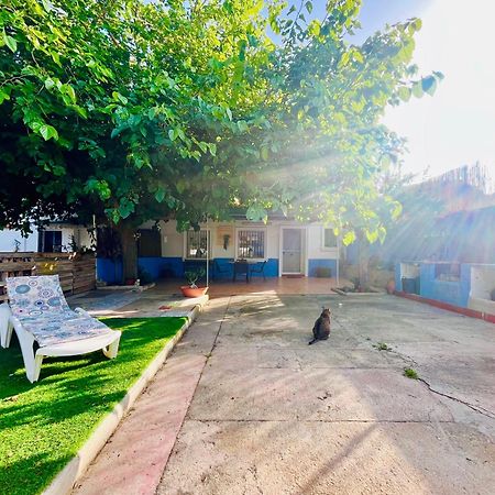 Estudio Adosado Acogedor Con Jardin, Barbacoa Y Parking Privado Alicante Bagian luar foto