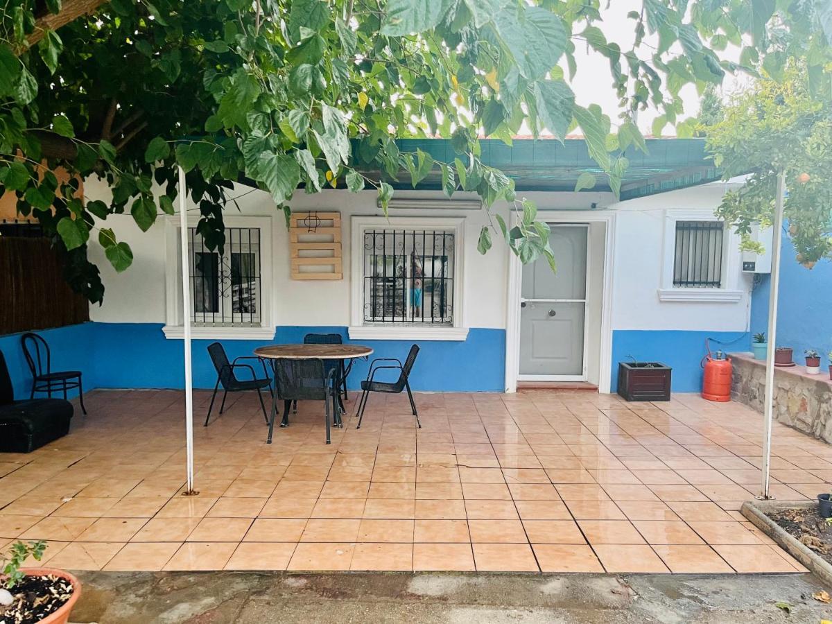Estudio Adosado Acogedor Con Jardin, Barbacoa Y Parking Privado Alicante Bagian luar foto