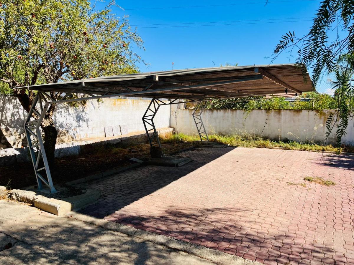 Estudio Adosado Acogedor Con Jardin, Barbacoa Y Parking Privado Alicante Bagian luar foto