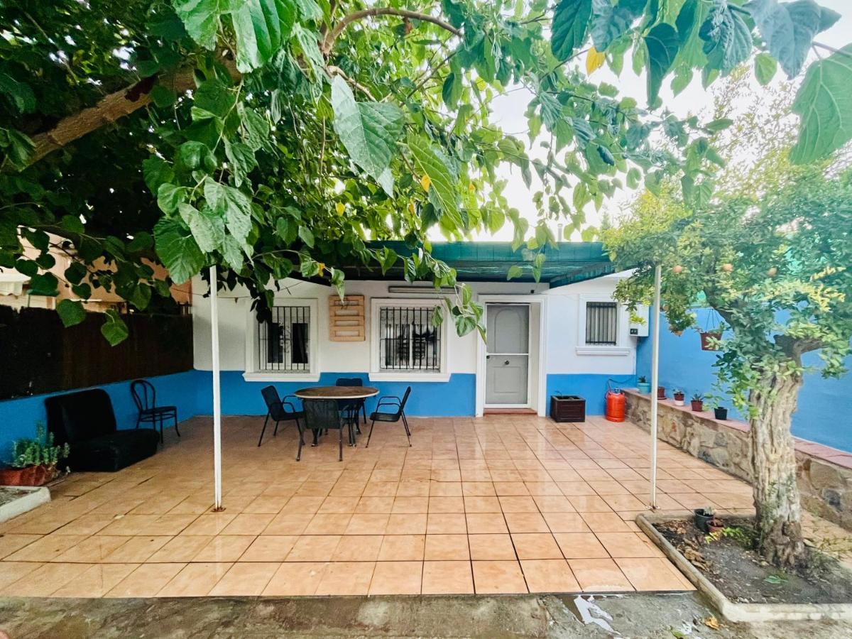 Estudio Adosado Acogedor Con Jardin, Barbacoa Y Parking Privado Alicante Bagian luar foto