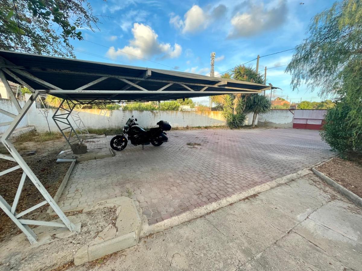 Estudio Adosado Acogedor Con Jardin, Barbacoa Y Parking Privado Alicante Bagian luar foto