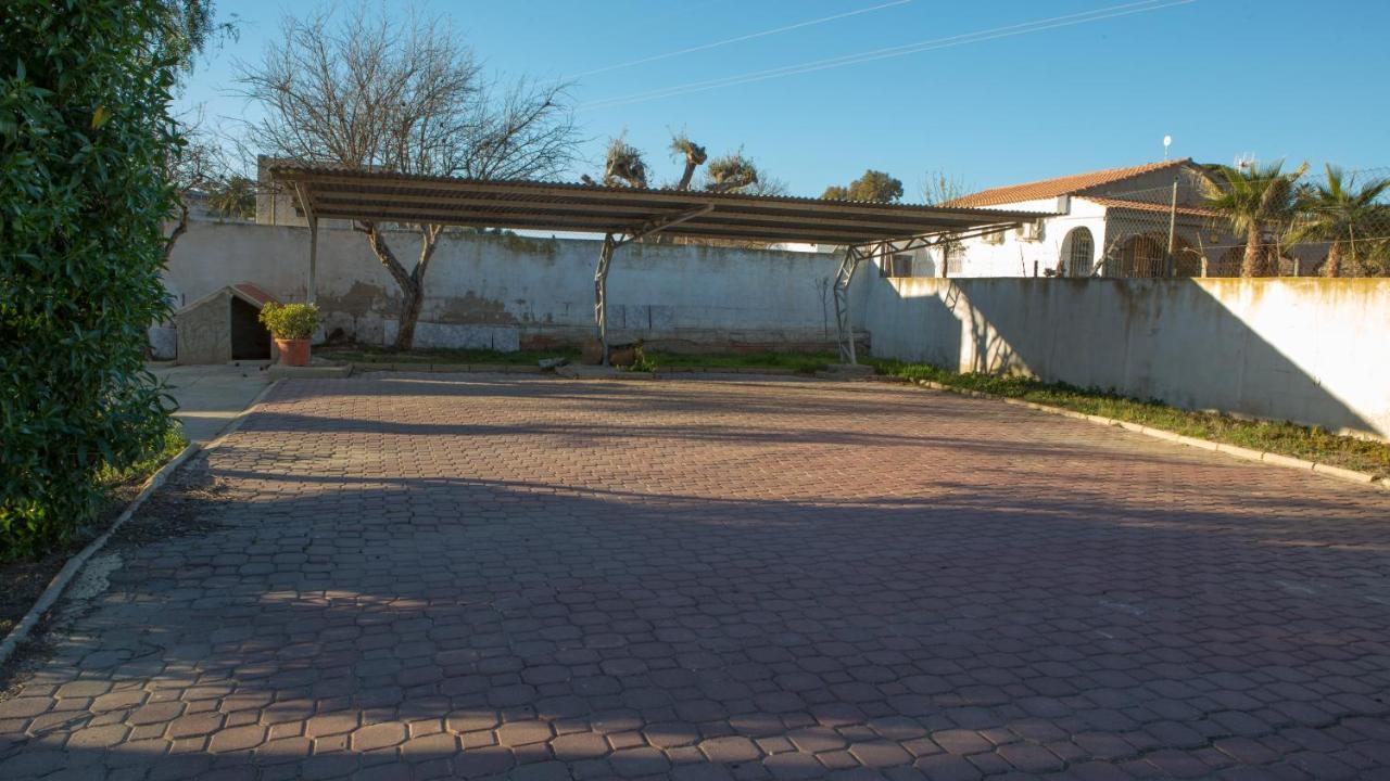 Estudio Adosado Acogedor Con Jardin, Barbacoa Y Parking Privado Alicante Bagian luar foto
