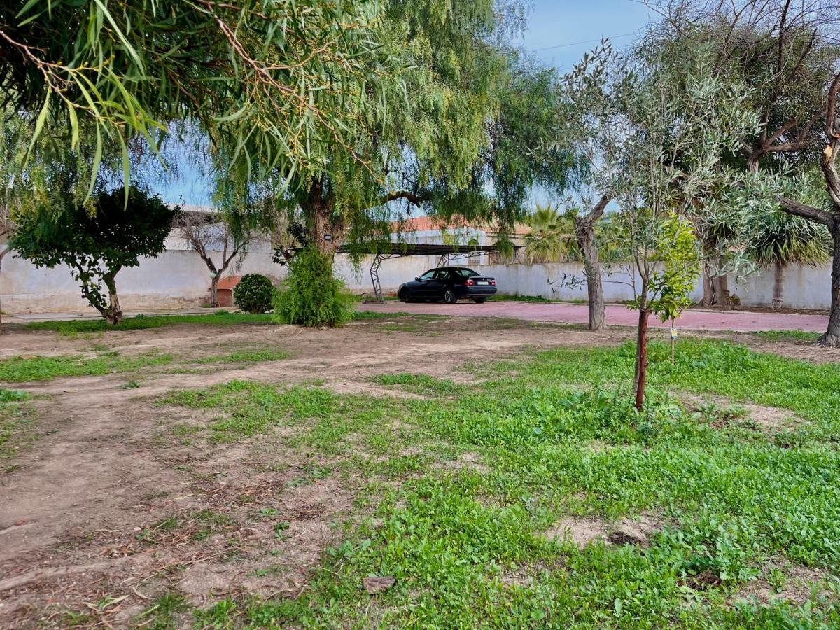 Estudio Adosado Acogedor Con Jardin, Barbacoa Y Parking Privado Alicante Bagian luar foto