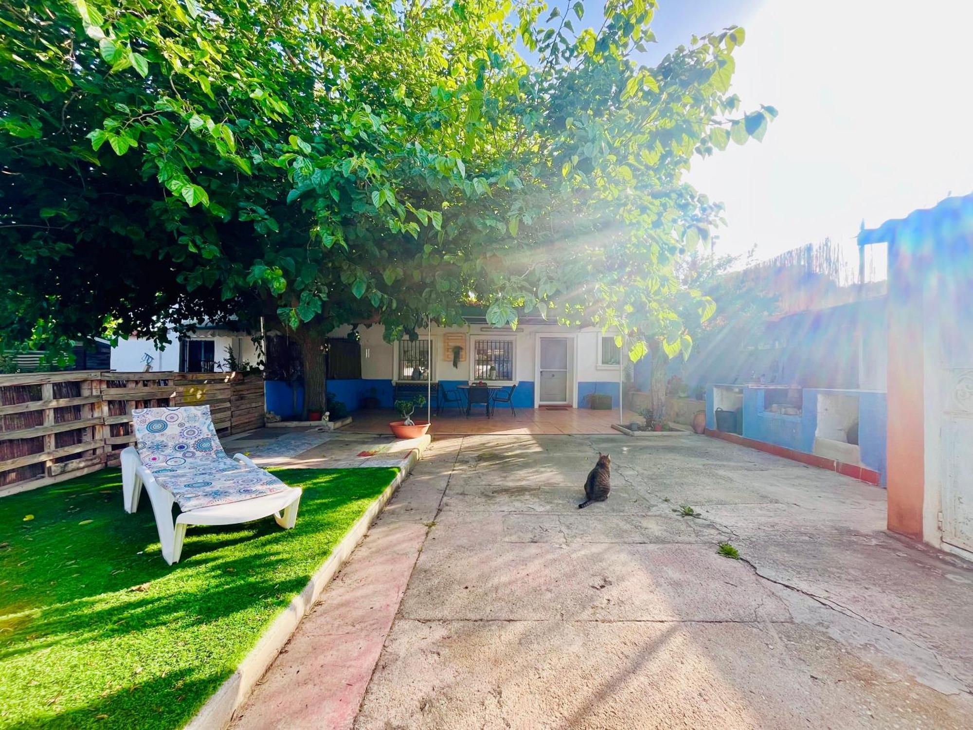 Estudio Adosado Acogedor Con Jardin, Barbacoa Y Parking Privado Alicante Bagian luar foto
